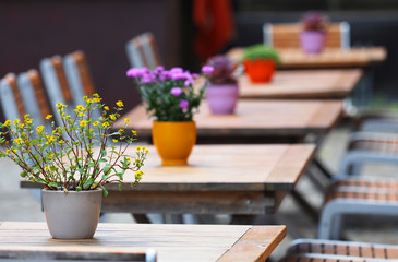 Summer cafe, terrace. Tables with colorful flowers, panoramic view