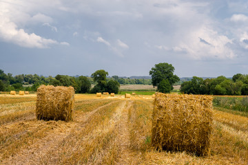 Żniwa na Podlasiu © podlaski49
