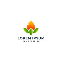 Green leaf with water drop