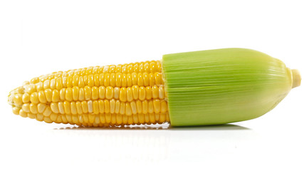 Fresh Corn isolated on white background