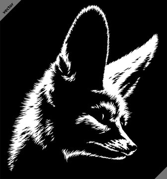 black and white linear paint draw fenec illustration art