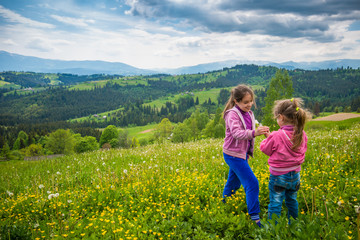 Cheerful girls walk on a flowering meadow