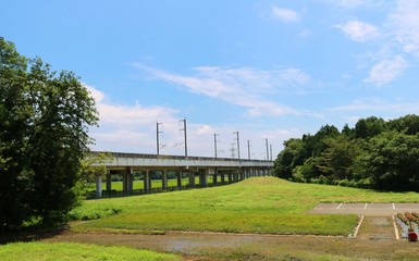 風景　夏　高架橋　新幹線　杤木