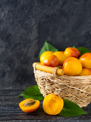 Apricots in the basket with copyspace