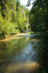 Naklejka na ściany i meble The river flows through the areas of the Slovak Paradise National Park