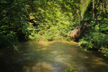 The river flows through the areas of the Slovak Paradise National Park