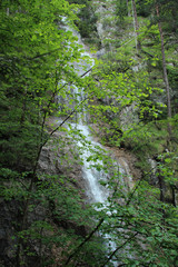 Fototapeta na wymiar A wet trail running through streams in the Slovak Paradise National Park
