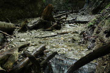 Stream peacefully and slowly flowing through the forest areas of the Slovak Paradise National Park