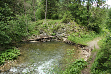 Fototapeta na wymiar Stream peacefully and slowly flowing through the forest areas of the Slovak Paradise National Park