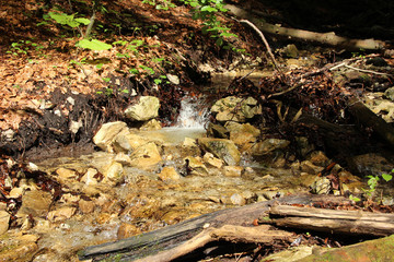 A wet trail running through streams in the Slovak Paradise National Park