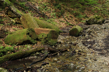 A wet trail running through streams in the Slovak Paradise National Park