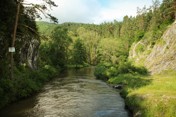 Rock by the river and forest near the trail