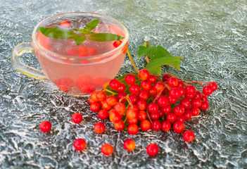  Useful tea from viburnum berries. Cold medicine. Close-up.