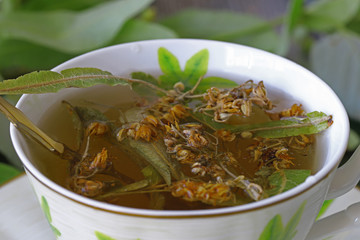linden tea