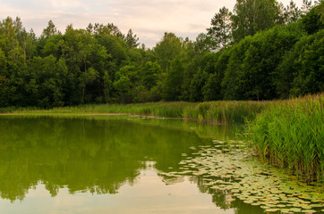 lake in the forest