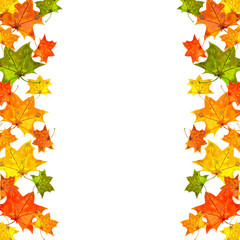 Vertical bordered frame of maple leaves.