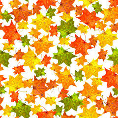 Seamless pattern of maple leaves.