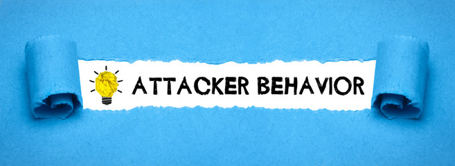 Attacker behavior