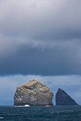 Isla Stac Lee y Stac an Armin. Colonia de alcatraz. Archipielago St. Kilda. Outer Hebrides....