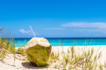 Fresh Coconut on the Caribbean Beach with Grass