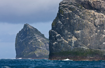 Isla Stac Lee y Stac an Armin. Colonia de alcatraz. Archipielago St. Kilda. Outer Hebrides....