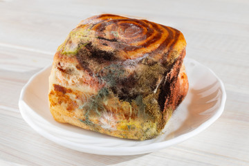 Moldy inedible spoiled food. Bun with mold on a white plate.