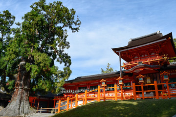 Naklejka premium 奈良県 春日大社