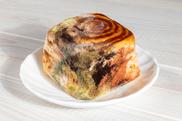 Moldy inedible spoiled food. Bun with mold on a white plate.