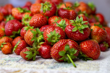 Lots of fresh ripe red strawberries on the white table. Home garden harvesting