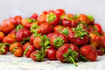 Lots of fresh ripe red strawberries on the white table. Home garden harvesting