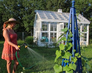Happy and Casual Mature Woman 50-59 Watering her Cucumber Trellis in front of her beautiful white Greenhouse