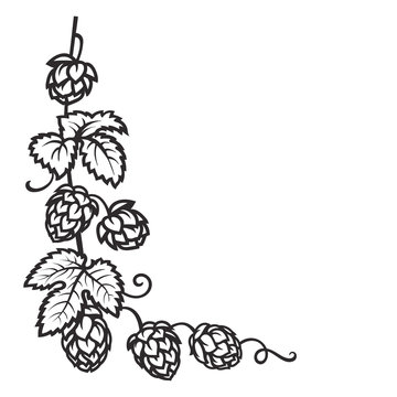 Branch of hops. Hop cones with leaf icon. Corner frame. Hand drawn vector illustration on white background.