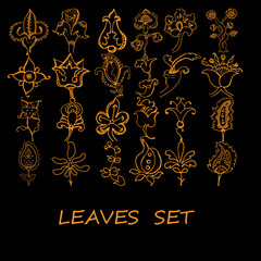 Vector branches and leaves. Hand drawn floral elements.