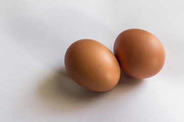 Chicken egg on white background.