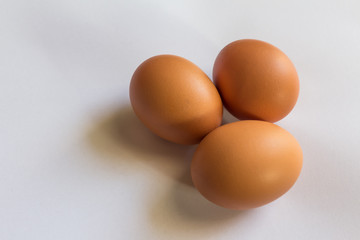 Chicken egg on white background.