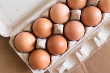 Close-up view of raw chicken eggs in egg box.