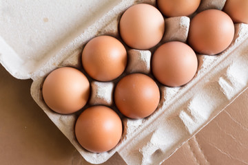 Close-up view of raw chicken eggs in egg box.