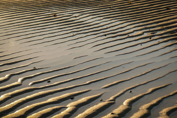 sand textures at low tide