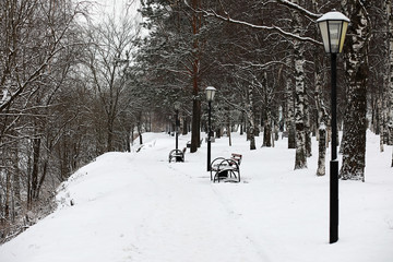 Winter landscape of country fields and roads