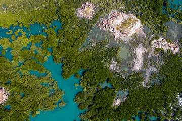 aerial mangrove tree patterns, Kimberley coastline