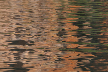 cliff reflections, King George River