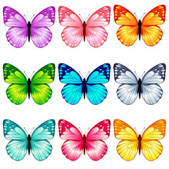 Obraz na płótnie Canvas Beautiful butterfly collection