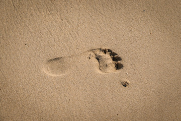 Fototapeta na wymiar foot print in the wet sand, Vansittart Bay