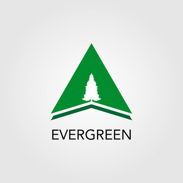 Triangle With Pine Tree Logo