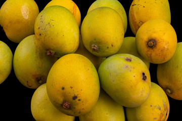 Delicious Naturally Ripened Mangoes. Isolated on Black background