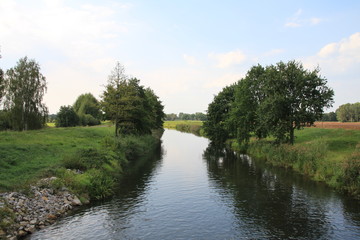 Bäume an der Gracht