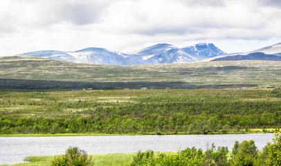 Fototapeta premium Dovre National Park, Norway