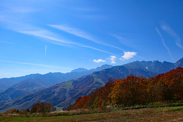 中部山岳国立公園。白馬マウンテンハーバーから北アルプスを望む。長野　日本。１０月下旬。