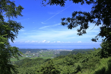垂水千本イチョウから眺める垂水市