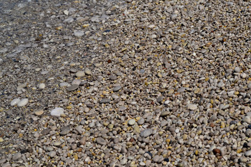 Marine background. The coast of pebbles. Small waves run on the coast